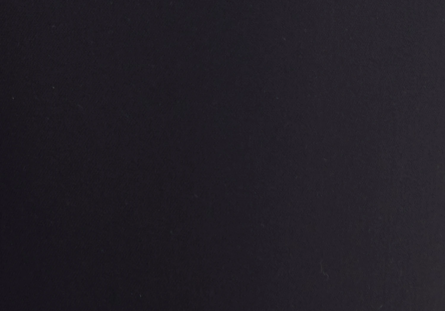 High Waist Relaxed Tailored Pant 7 High Waist Relaxed Tailored Pant - Image 5