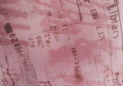 Print Mesh Lettuce Trim Cropped Cami -Outlet Glassons Store co sabrina mesh cami baby doll script imagefront tv54660rprt