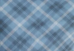 Printed Mini Mesh Dress -Outlet Glassons Store delica mini mesh bubble check imagefront ds128708rchk