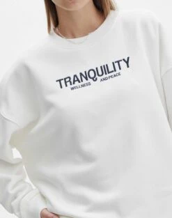 Embroidered Crew Neck Jumper 25 Embroidered Crew Neck Jumper -Outlet Glassons Store ella crew neck jumper tranquilitymilk imageback tl88361oemb