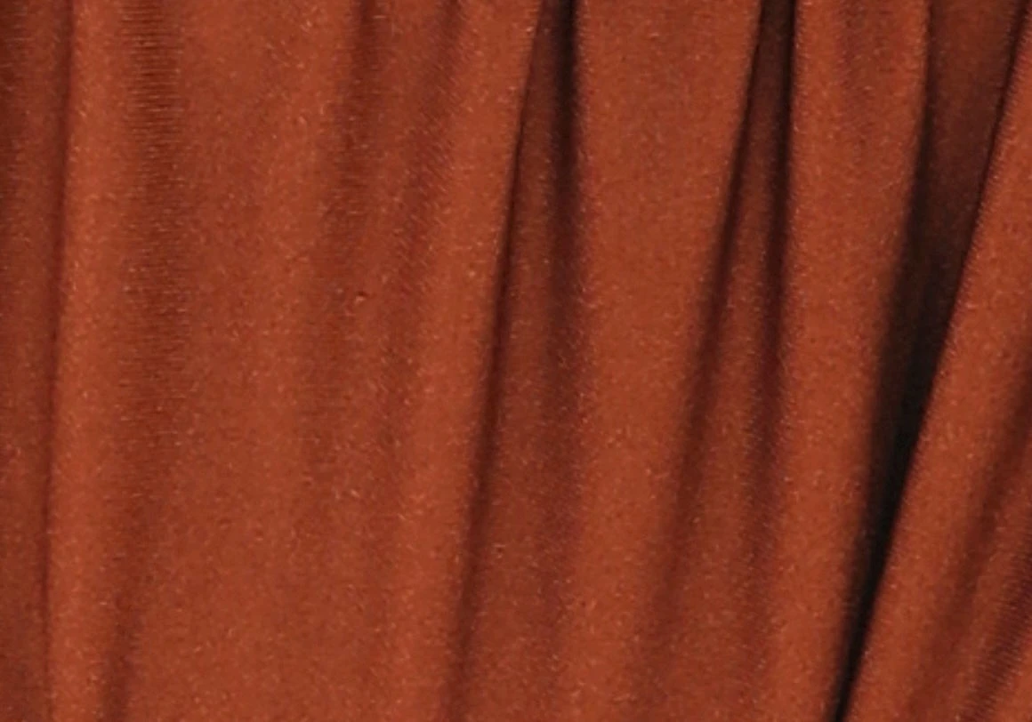 Shimmer Ruched Triangle Bikini Top 7 Shimmer Ruched Triangle Bikini Top - Image 5