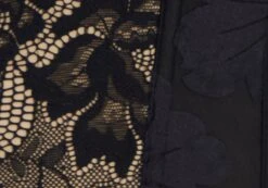 Lace Hook & Eye Front Corset Top -Outlet Glassons Store inka corset top blacknude imagefront ut111638lac