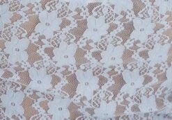 Off Shoulder Lace Long Sleeve Top -Outlet Glassons Store lexi longsleeve lace top icecap imagefront tl116985lac