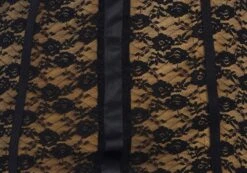 Lace Cupped Mini Dress 13 Lace Cupped Mini Dress -Outlet Glassons Store maeve mesh mini dress blacknude imagefront ds92784lce