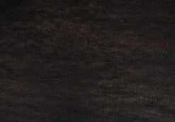 Sheer Backless Long Sleeve Crop Top -Outlet Glassons Store mila underwire super crop black imagefront tl112008msh