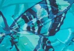 Printed Thong Bikini Bottom -Outlet Glassons Store r zimi high waist thong mystic butterflies imagefront ga63412rmsb