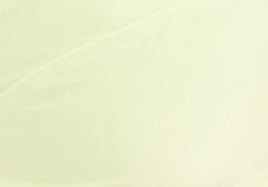 Shimmer Thong Bikini Bottom 26 Shimmer Thong Bikini Bottom -Outlet Glassons Store zimi high waist thong lime splice imagefront ga63412shm